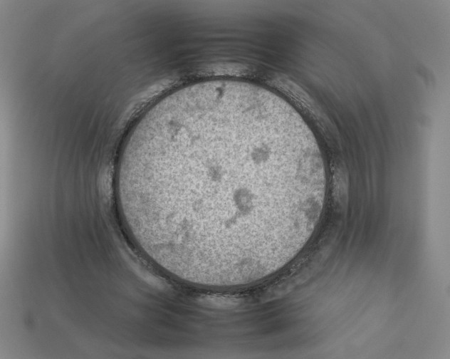 X0000112770537200910011239