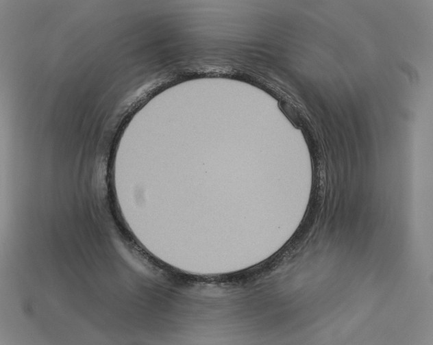 X0000112770538200910011239