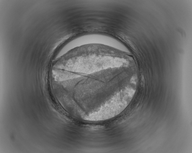 X0000112770539200910011239