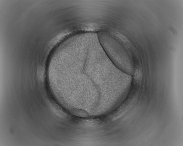 X0000112770540200910011239