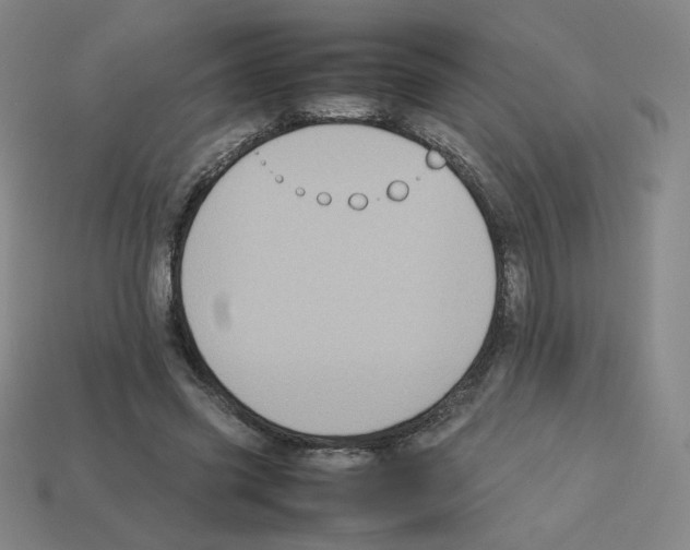 X0000112770541200910011239