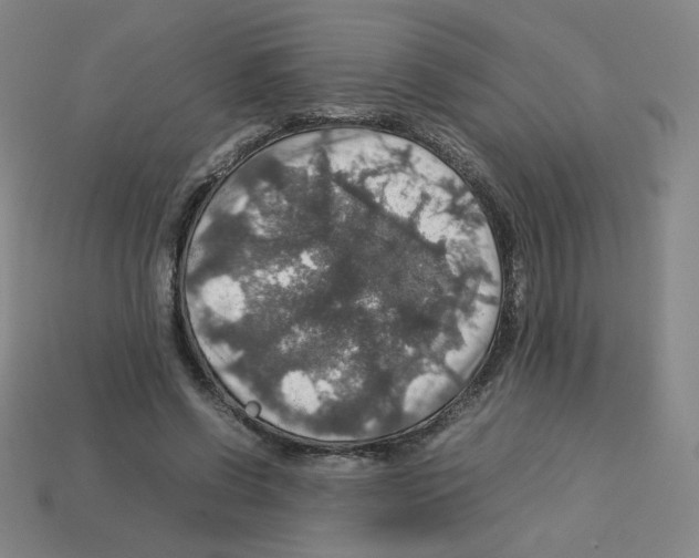 X0000112770542200910011239