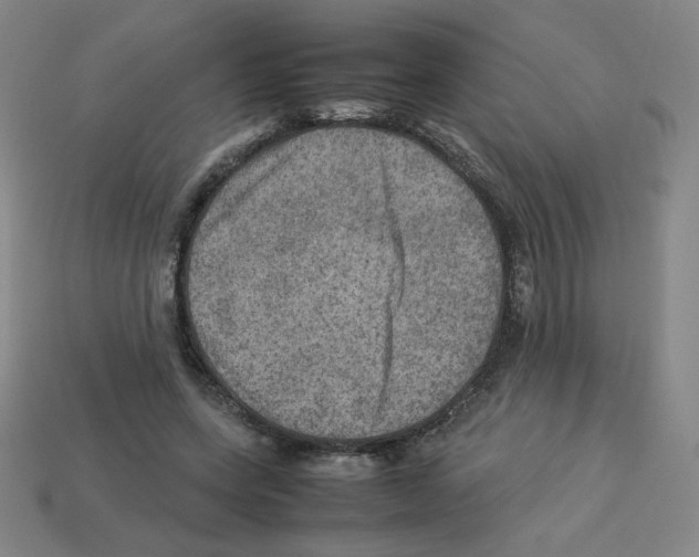 X0000112770543200910011239