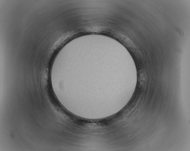 X0000112770544200910011239