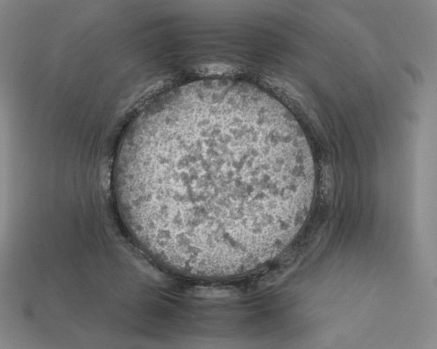 X0000112770545200910011239