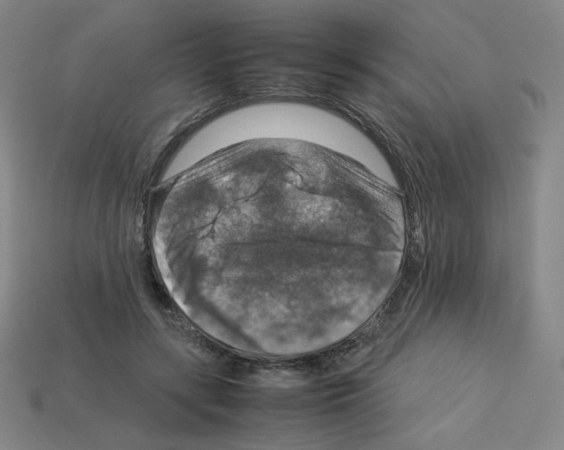 X0000112770547200910011239