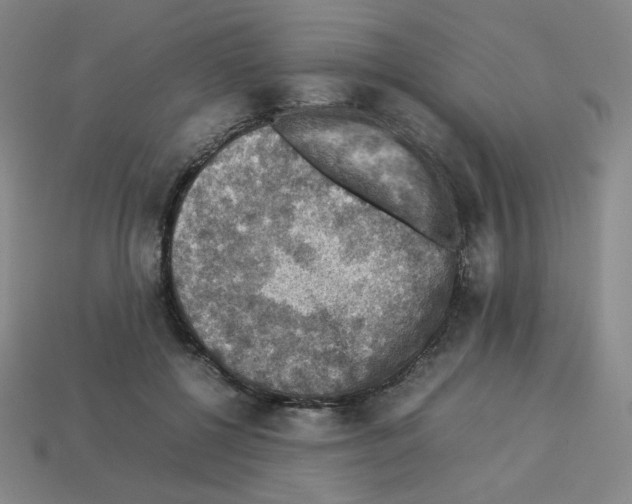 X0000112770552200910011239