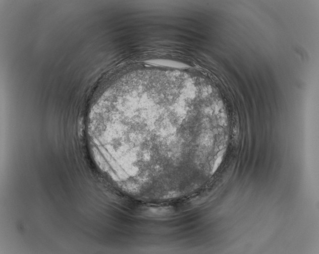 X0000112770555200910011239