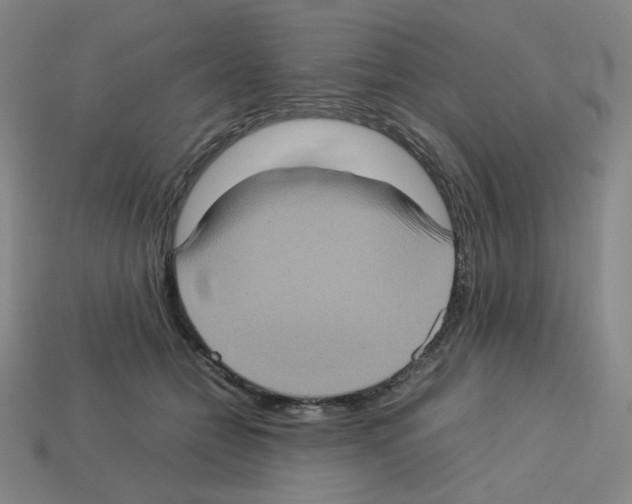 X0000112770558200910011239