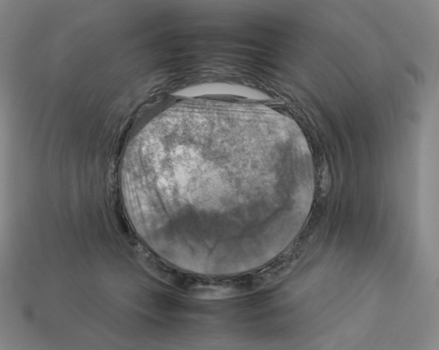 X0000112770559200910011239