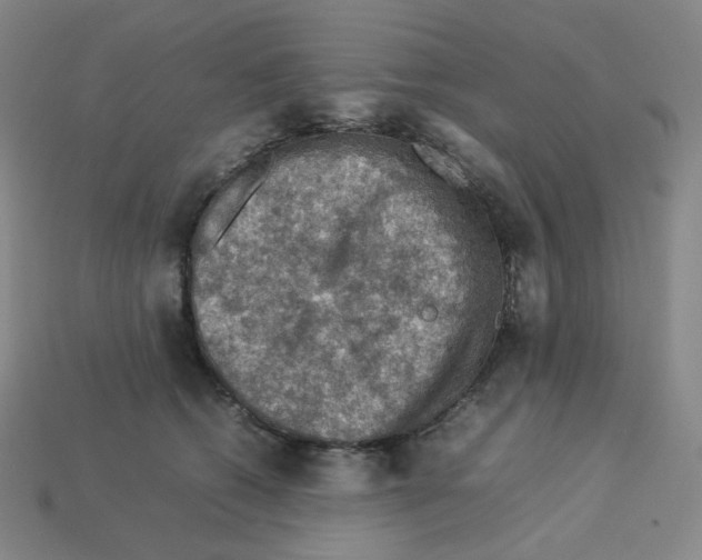 X0000112770562200910011239