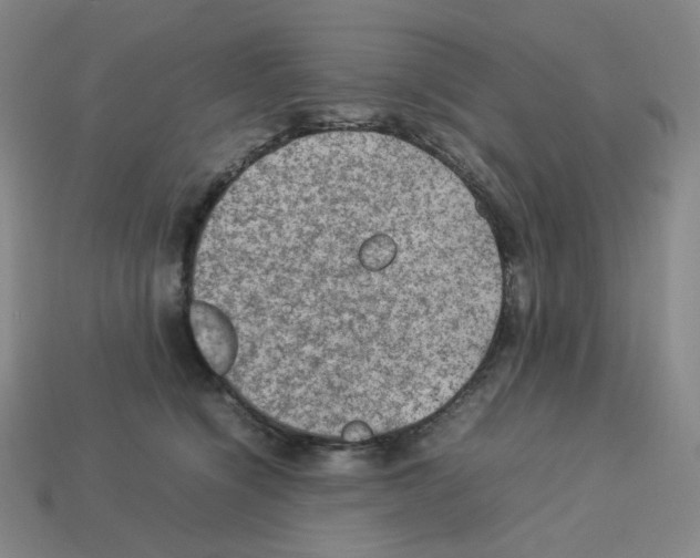 X0000112770564200910011239