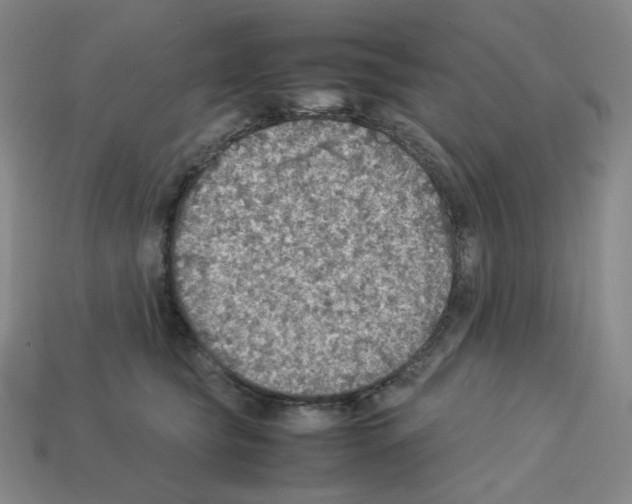 X0000112770565200910011239