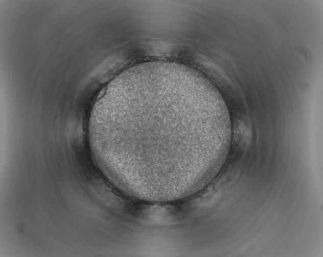 X0000112770566200910011239