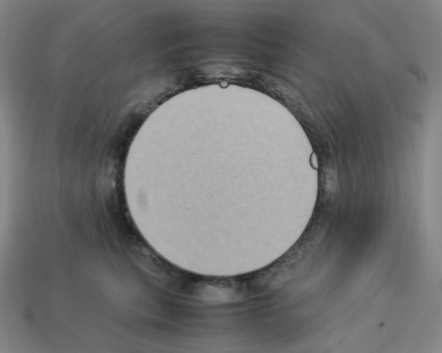 X0000112770567200910011239