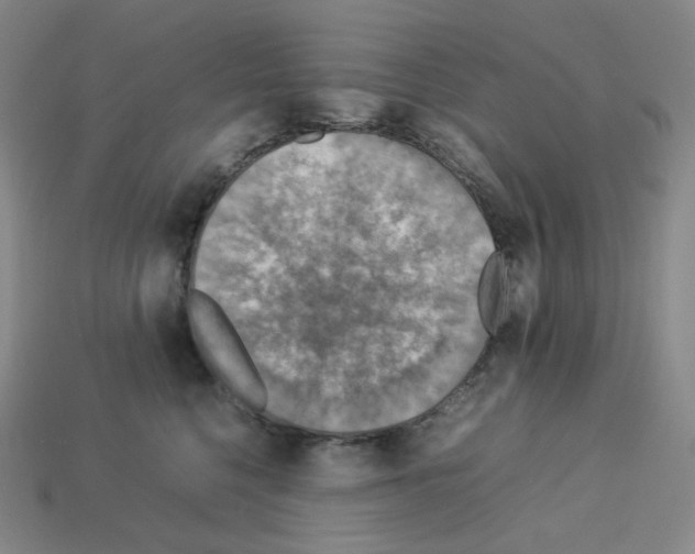 X0000112770568200910011239