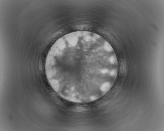 X0000112770569200910011239