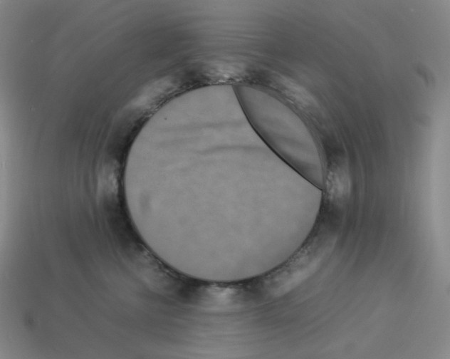 X0000112770570200910011239