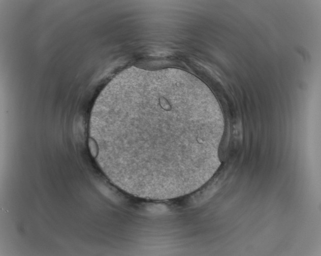 X0000112770572200910011239