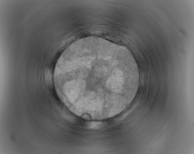 X0000112770575200910011239