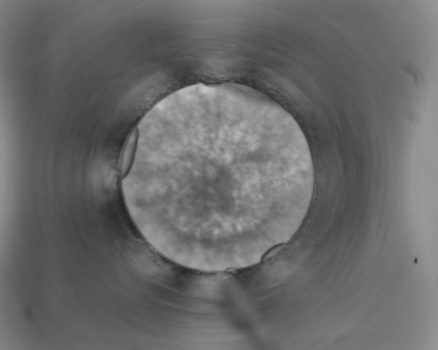 X0000112770576200910011239