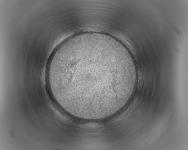 X0000112770578200910011238