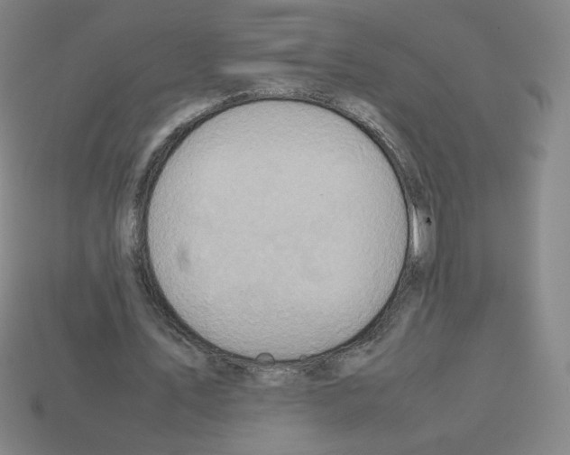 X0000112770579200910011238