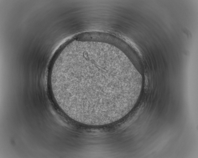 X0000112770580200910011238