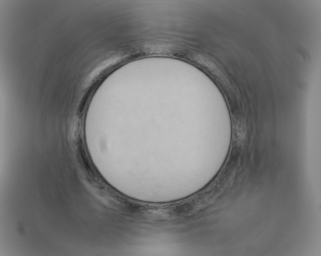 X0000112770583200910011238