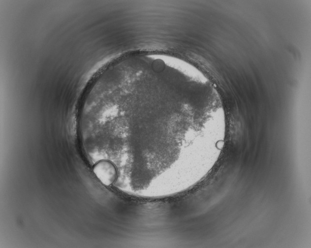 X0000112770584200910011238