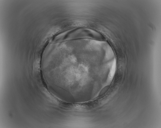 X0000112770585200910011238