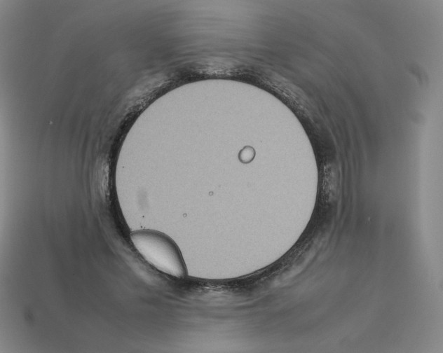 X0000112770589200910011238