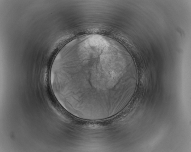 X0000112770590200910011238