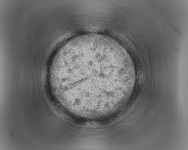 X0000112770591200910011238