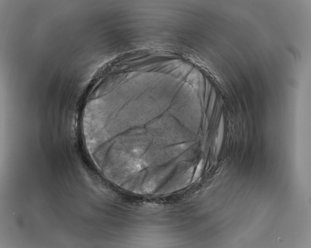 X0000112770592200910011238