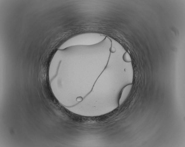 X0000112770593200910011238