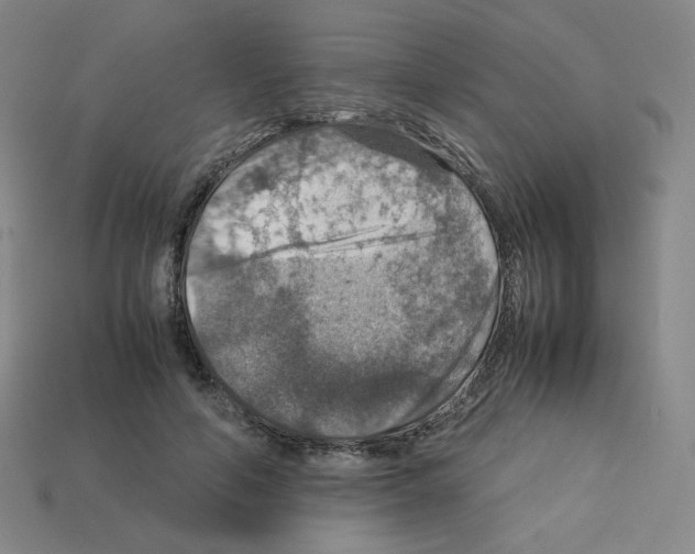 X0000112770594200910011238