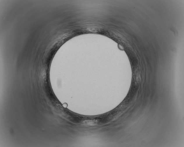 X0000112770595200910011238