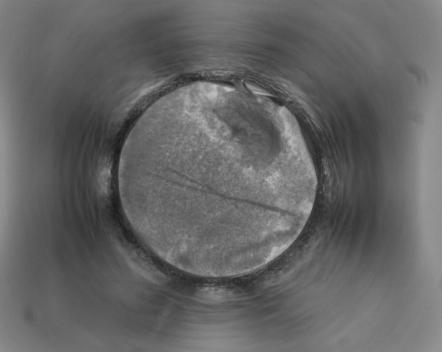 X0000112770596200910011238