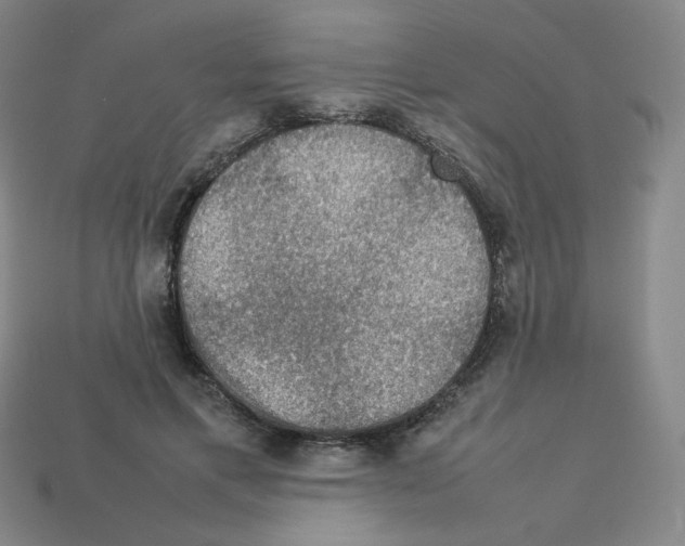 X0000112770597200910011238