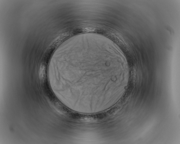 X0000112770598200910011238