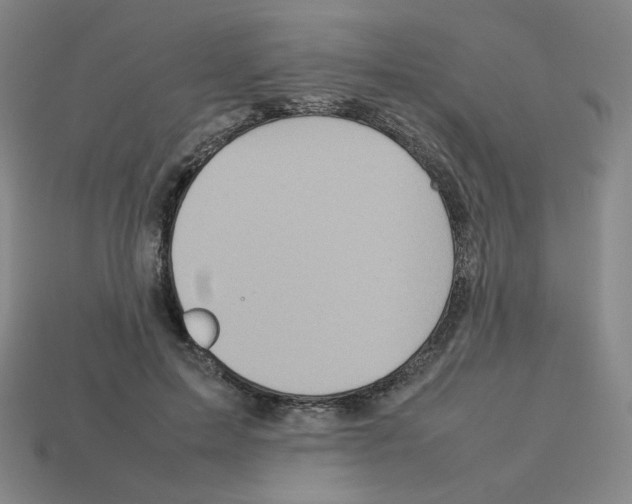 X0000112770599200910011238