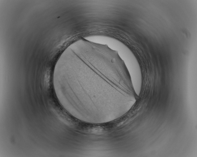 X0000112770600200910011238