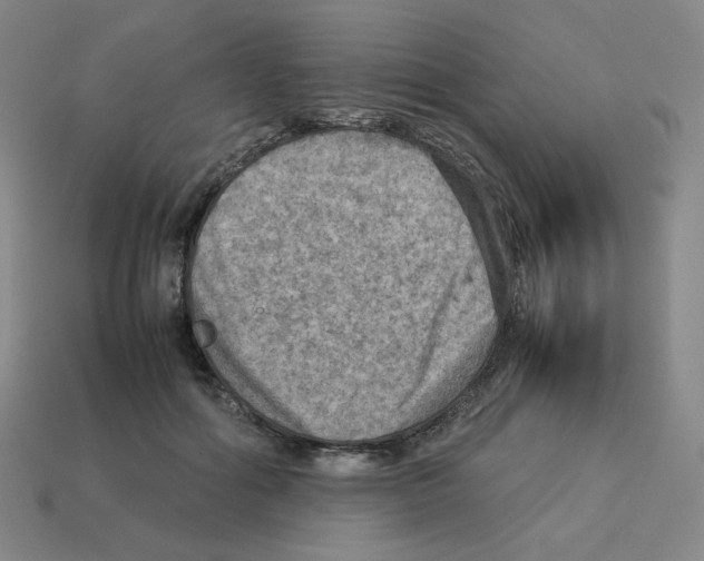 X0000112770602200910011238