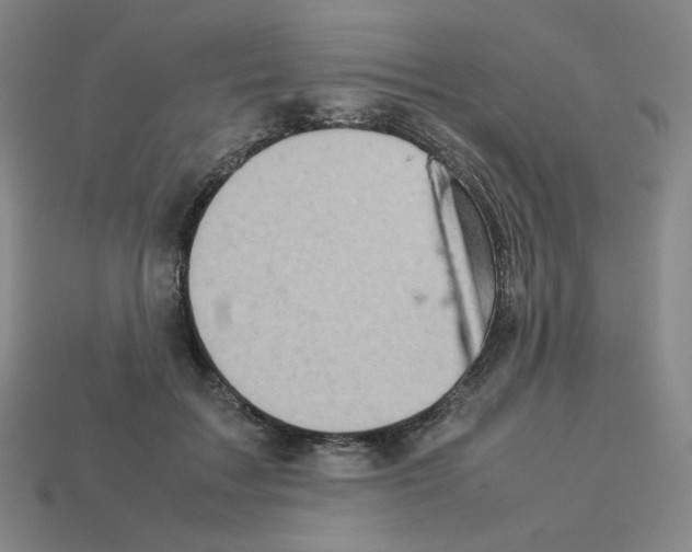 X0000112770603200910011238