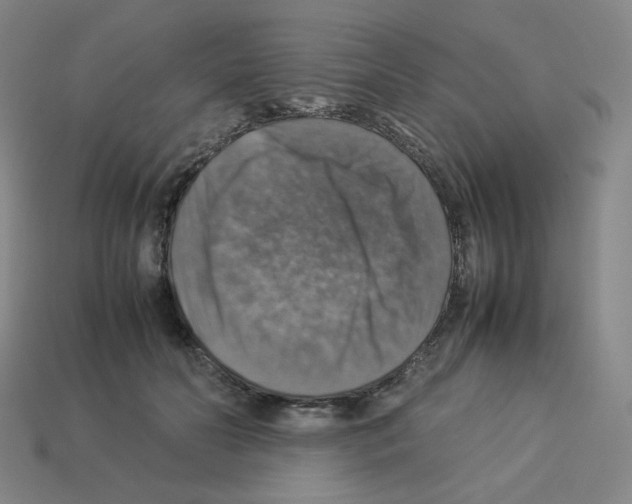 X0000112770606200910011238