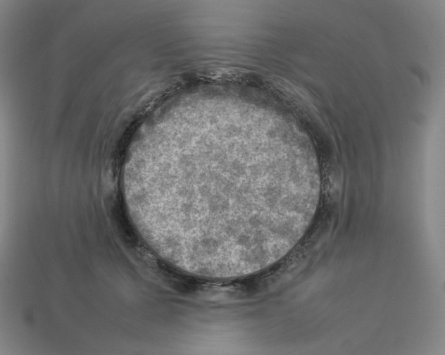 X0000112770607200910011238