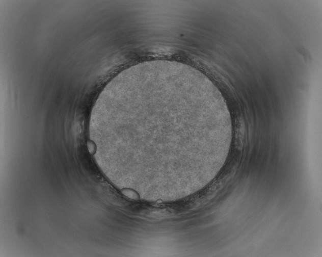 X0000112770608200910011238