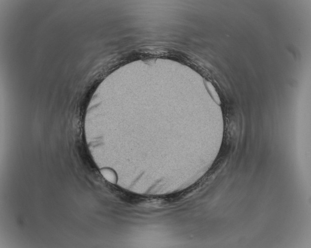 X0000112770609200910011238