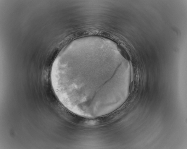 X0000112770610200910011238